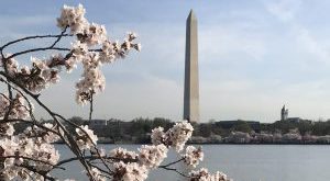 Washington Monument and the Tidal Basin - Washington DC Monuments Tour