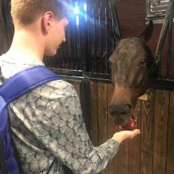 Old Guard: Feeding the horses at the Caisson Barn on the United States Army Tour